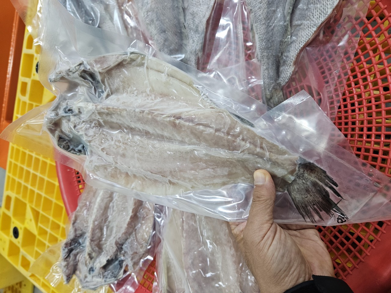 국내산 반건조 민어 특대 실제 상품 참고 사진
