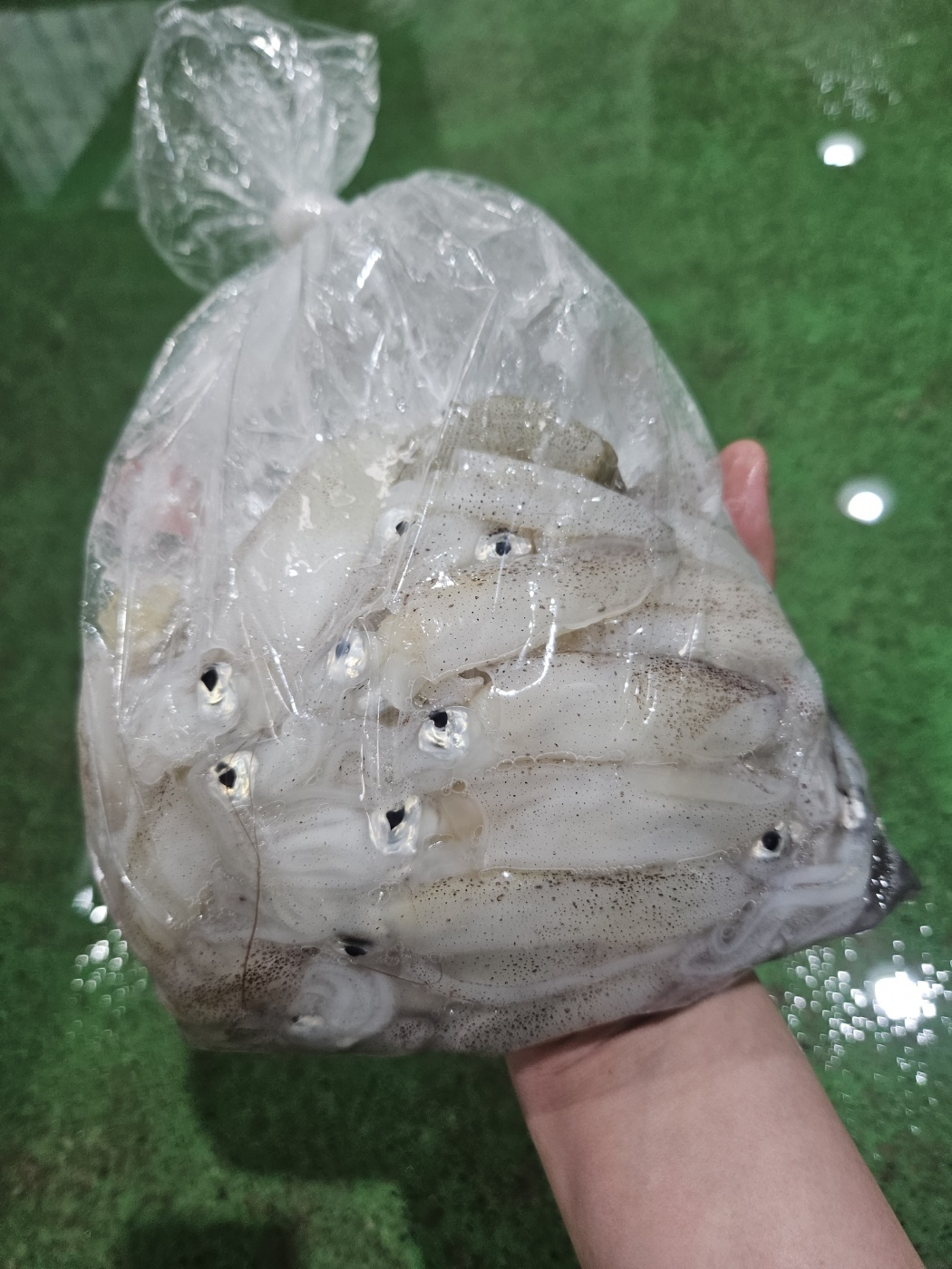 남해 급냉 호래기 실제 상품 참고 사진