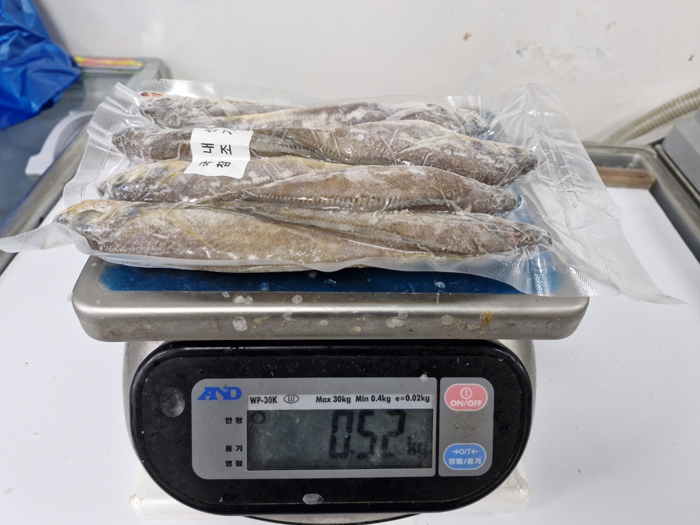 여수 급냉 참조기 산지 참고 사진